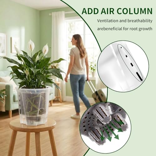 Cdd's Path 6 Inch Clear Self Watering Pots Set, 12 Pack Naked Root Planter with Deep Water Tank, Large Drainage Holes, Reservoir & Air Pipes for Indoor Outdoor Plants, Flowers, Seedlings - Image 6