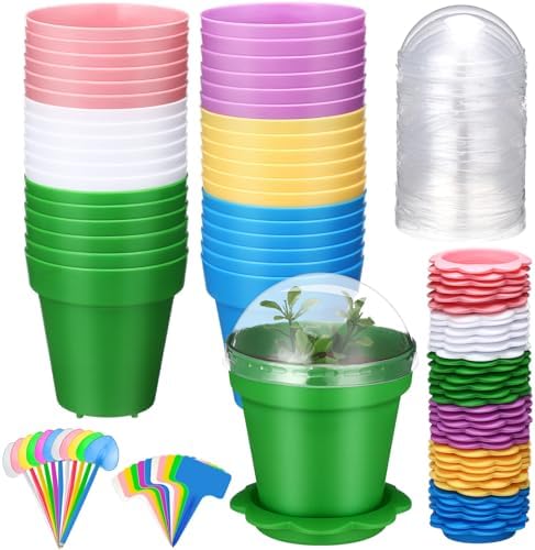 36 Packs Cupcake Plant Nursery Pots with Humidity Dome Small Flower Pots Plastic Planting Containers Cups with Saucers and Shovel for Indoor Outdoor Plant Succulent Display(Colorful) by LOYIM