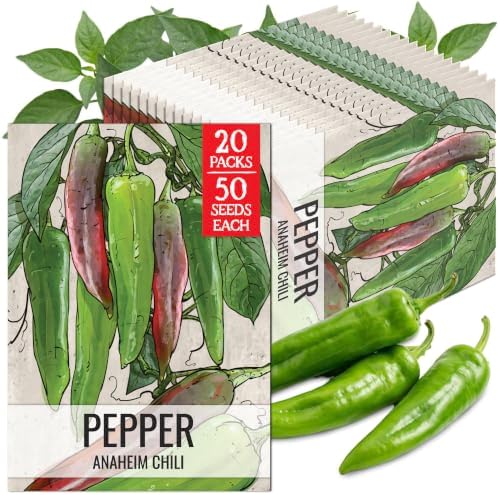 Seed Needs Anaheim Hot Pepper Seeds to Plant Vegetables - 20 Packs by SeedNeeds