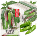 Seed Needs Anaheim Hot Pepper Seeds to Plant Vegetables - 20 Packs by SeedNeeds