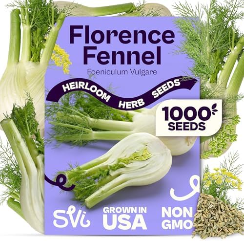 SVI 1000 Florence Fennel Seeds (Foeniculum vulgare) – Sweet Fennel Seed Packets Bulk Natural Herbs – Open Pollinated Heirloom Herb Seeds, Full Sun Outdoor Herb Garden & Indoor Herbs, Containers by SVI