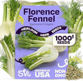 SVI 1000 Florence Fennel Seeds (Foeniculum vulgare) – Sweet Fennel Seed Packets Bulk Natural Herbs – Open Pollinated Heirloom Herb Seeds, Full Sun Outdoor Herb Garden & Indoor Herbs, Containers by SVI