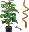 60 Inch Moss Pole for Plants Monstera, Tall Bendable Moss Poles for Climbing Plants Indoor, Large Handmade Plant Pole Sticks, Coco Coir Plant Support Stakes for Potted Plants, Pothos by Soupiar