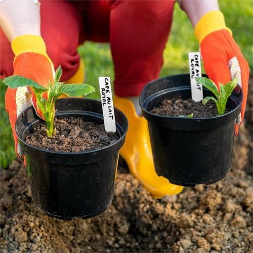 Dalzom® 300Pcs 4" Plant Labels with Marker Pen, Waterproof Plastic Plant Tags for Outdoor Seedlings Vegetable Garden Signs Markers Label Stakes (Multicolor) - Image 6