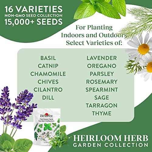 Burpee Heirloom Herb Seeds Variety Pack, Non-GMO, 16 Herbs - 15,000+ Seeds with Basil, Chives, Catnip, Chamomile, Cilantro, Dill, Lavender, Oregano, Parsley, Rosemary, Spearmint, Sage, Tarragon, Thyme - Image 2