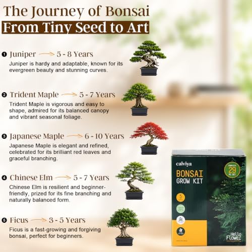 Bonsai Starter Kit for Growing Trees - DIY 5X Unique Japanese Bonsai Trees - Image 7