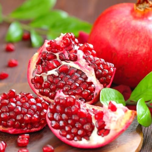 Wonderful Pomegranate Tree Live, Backyard Orchard Tree, 10-12 Inch Tall - Image 3