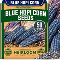 Seeds for Planting, 50 Blue Hopi Corn by CZGrain