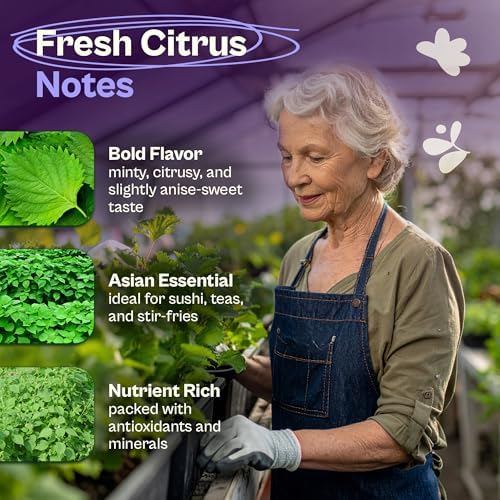 SVI 350 Green Shiso Seeds (Perilla frutescens) – Japanese Shiso Perilla Seed Packets, Aromatic Leaves – Japanese Heirloom Herb Seeds Outdoors & Indoor Herb Garden - Image 3