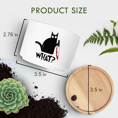 Funny Black Cat Plant Pot for Succulent, Cactus Flower Planter for Indoor Plants, Unique Succulents Pots with Drainage, Cats Owner Gifts, Home Desk Decor Planter Gift for Cat Lover (No Plants) - Image 4