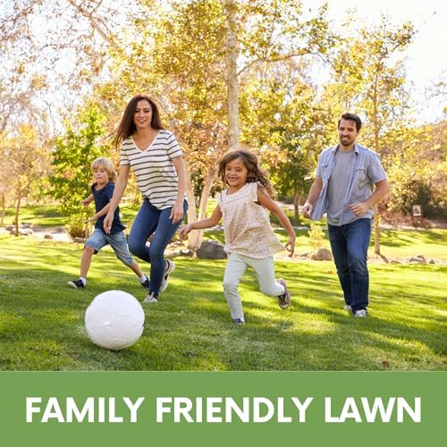 Ruff and Tuff Mow Less Fescue Grass Seed, 2 lbs, Low Maintenance, Family Friendly, Drought Tolerant, Covers up to 1000 Sqft - Image 3