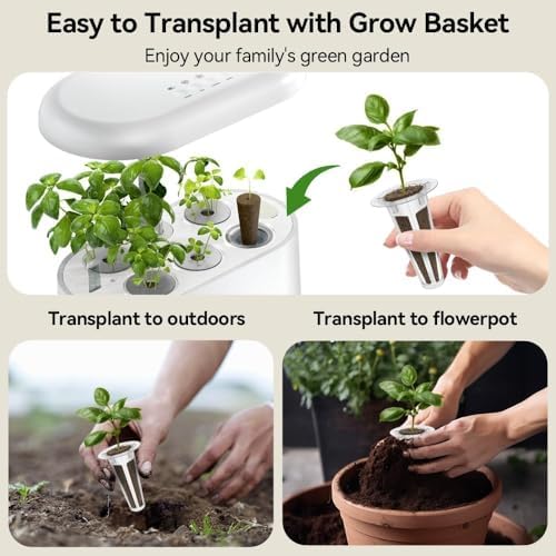 inbloom Herb Seed Pods Kit for AeroGarden, 7-Pods with Basil, Cilantro, Parsley Seed Hydroponic Growing System Kit, Seeds Starter Pod for idoo, Ahopegarden Gardening Supplies - Image 5