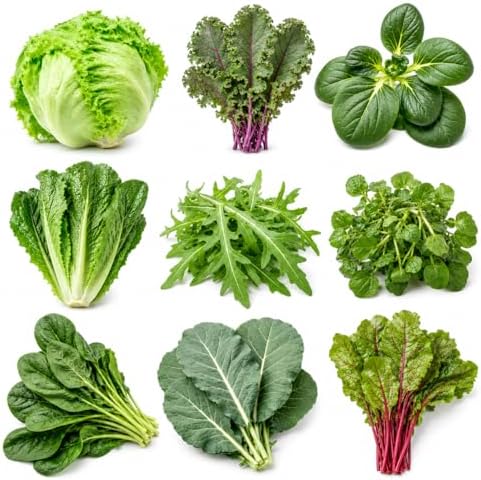 Salad Greens Variety Pack Seeds – 9 Heirloom Leafy Green Vegetable Seeds | Lettuce Kale Spinach Arugula Collards Beet Greens Mustard Cress for Raised Beds Containers Garden by SUNUTRISEEDS