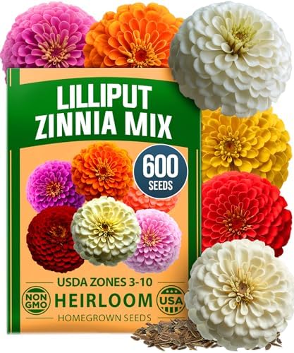 HOME GROWN Zinnia Seeds, Lilliput Mix, 600 Seeds, Zinnia elegans by HOMEGROWN