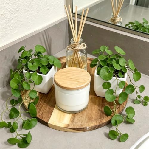 Artificial Hanging Coin Leaf Potted Vine, 2 Pack for Shelf Decor - Image 4