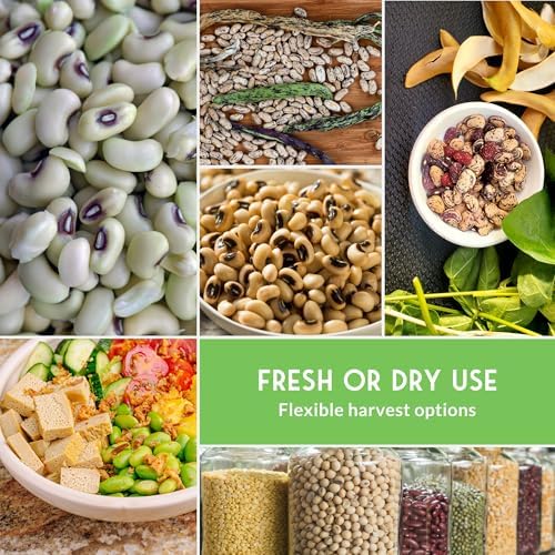 Hot Weather Bean Seeds for Planting – 5 Varieties - Survival Garden Seeds - Image 5