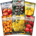 Sow Right Seeds - Cherry Tomato Seed Collection for Planting Home Garden by SowRightSeeds