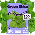 SVI 350 Green Shiso Seeds (Perilla frutescens) – Japanese Shiso Perilla Seed Packets, Aromatic Leaves – Japanese Heirloom Herb Seeds Outdoors & Indoor Herb Garden by SVI