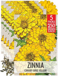Seed Needs Canary Bird Zinnia Seeds to Plant Cut Flowers 5 Packs by SeedNeeds