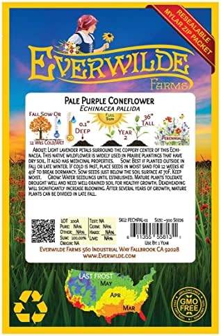 Everwilde Farms - 300 Pale Purple Coneflower Native Wildflower Seeds - Gold Vault Jumbo Seed Packet - Image 2