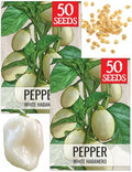 Seed Needs White Habanero Hot Pepper Seeds to Plant Vegetables - 2 Packs by SeedNeeds