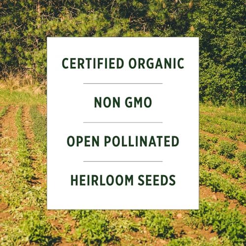 Banyan Botanicals Organic Cucumber Seeds – Heirloom Poona Khera (Cucumis Sativus) Seeds –Tender & Crisp for Eating or Pickling – 30 Count – Open Pollinated Non-GMO Easy-to-Grow - Image 5