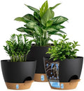 Self Watering Pots with Drainage Holes, 3 Pack 12/10/8 Inch Plant Pots with Water Level Indicator Deep Reservoir, Large Plastic Planter for Indoor Outdoor Plants - Black Brown by KUGAZ