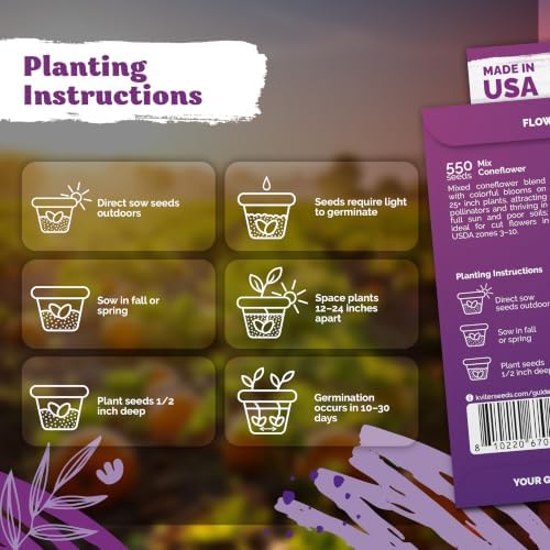 550 Mixed Coneflower Seeds for Planting, Heirloom Flower Seeds - Image 3