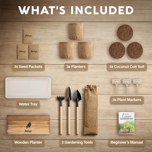 Wildflower Seed Mix Growing Kit - Image 6