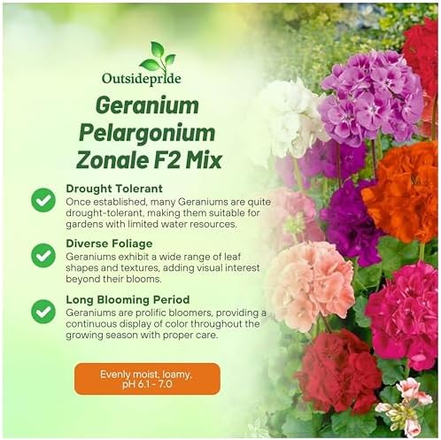 Outsidepride Mix Geranium Seeds for Planting - 100 Pcs Annual, Heat & Drought Tolerant Flower Seeds with Green Foliage & Mix Blooms for Pots, Borders & Lush Summer Garden Displays - Image 3