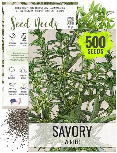 Seed Needs Winter Savory Seeds to Plant Heirloom Non-GMO Herbs 1 Pack by SeedNeeds