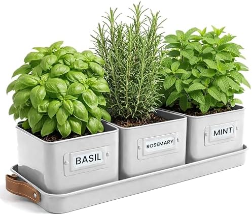 volila Herb Planter Indoor - Set of 3 Warmstone Indoor Herb Garden Pots for Plants with Leather Handled Tray - Window Sill Plant Shelf - Herb Pots with Drainage Holes and Labels by volila
