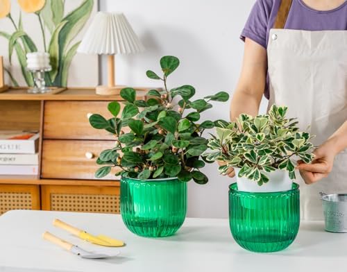 Melphoe 2 Pack Self Watering Hanging Planters Indoor Flower Pots, 6.5 Inch Outdoor Hanging Basket, Plant Hanger with 3Hooks Drainage Holes for Garden Home (Emerald) - Image 4