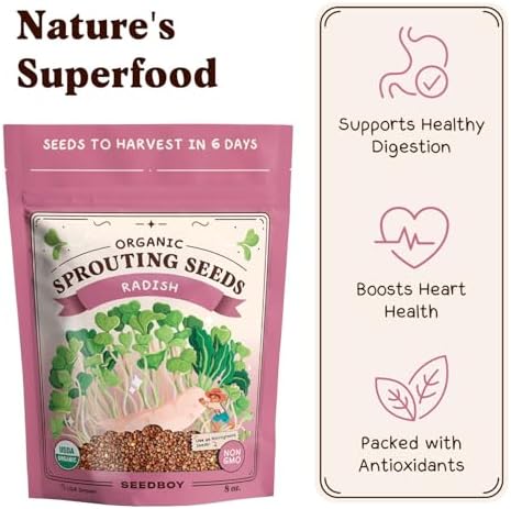 Seedboy Organic Non-GMO Sprouting Seeds (Daikon Radish) - Image 4