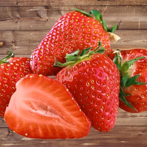 Seascape Strawberry Plants - Great for Planters - Day Neutral (Heavy Producer) - Bare Root Strawberry Plants from Hand Picked Nursery (10) by HandPickedNursery