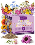Wildflower Seeds – Perennial Paradise Mix, 21 Heirloom Species, 90,000+ Seeds (1lb) Covers 1125-1350 sq. ft., High Germination for Outdoor Pollinator Garden by PLANTMEW