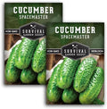 Spacemaster Cucumber Seeds for Planting - Bush Style Cucumbers (2 Packs) by SurvivalGardenSeeds