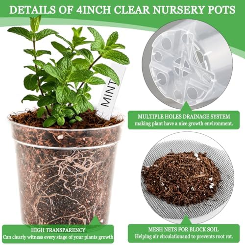 4 Inch Clear Nursery Pots for Plants, Plastic Plant Pot with Drainage Holes, Sturdy Seed Starter Pots, Small Transparent Seedling Pots with Plant Labels and Soil Screens, Gardening Gifts(30 Pack) - Image 3
