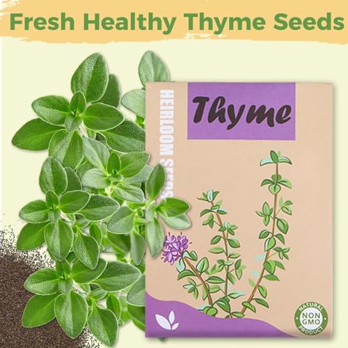 Herb Seed Pods Kit Hydroponic - Refill Pod for All Indoor Garden, 8 Grow Pods with Seeds of Thyme & Plant Food, Compatible with All Hydroponics Growing Systems - Image 5