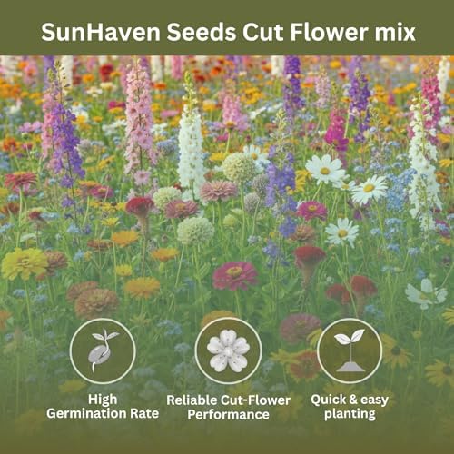 Cut Flower Seed Mix - 1 oz, 15,000+ Seeds - Image 3