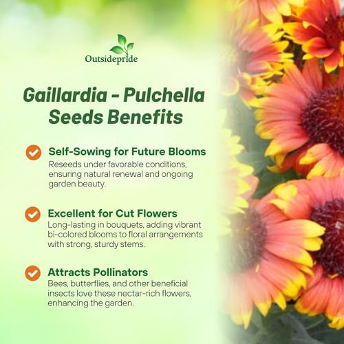 Outsidepride Gaillardia Pulchella Red Indian Blanket Seeds for Planting - 5000 Pcs Annual Flower Seeds, Heat & Drought Tolerant for Xeriscaping, Borders, & Small Garden Spaces - Image 3
