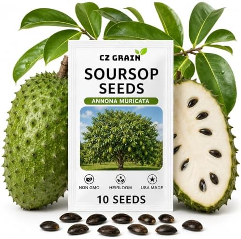 10 Soursop Seeds for Planting | Annona Muricata Tropical Fruit Tree Seeds by CZGrain