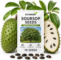 10 Soursop Seeds for Planting | Annona Muricata Tropical Fruit Tree Seeds by CZGrain