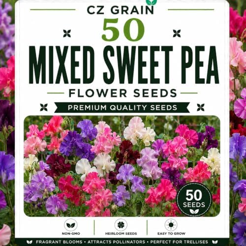 Garden Seeds for Planting, 50 Sweet Pea by CZGrain