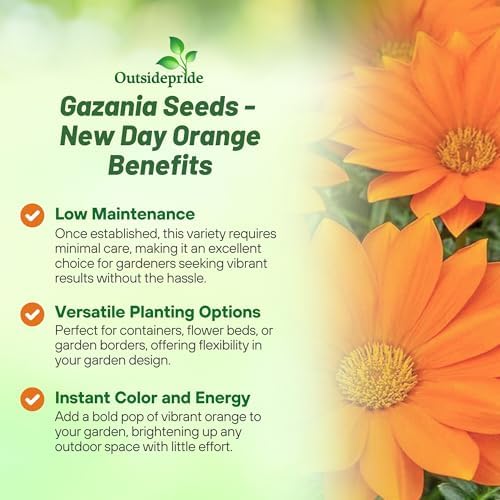 Outsidepride New Day Orange Gazania Seeds for Planting – 50 Pcs Perennial, Low-Maintenance, Drought-Tolerant Ground Cover Seeds for Vibrant Summer & Fall Flowers, Great for Outdoor Gardens - Image 3
