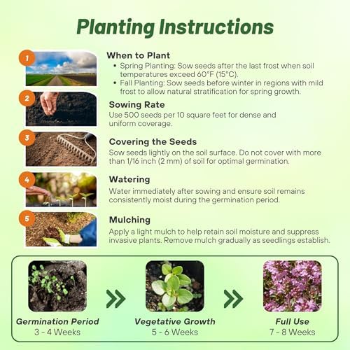 Outsidepride Magic Carpet Creeping Thyme Seeds - 1000 Pcs. Perennial, Fragrant, & Drought Tolerant Ground Cover Seeds for Planting Pink Flowers in Pathways, Slopes & Pollinator-Friendly Landscaping - Image 4