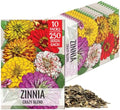 Seed Needs Crazy Zinnia Seeds for Planting Cut Flowers - 10 Packs by SeedNeeds