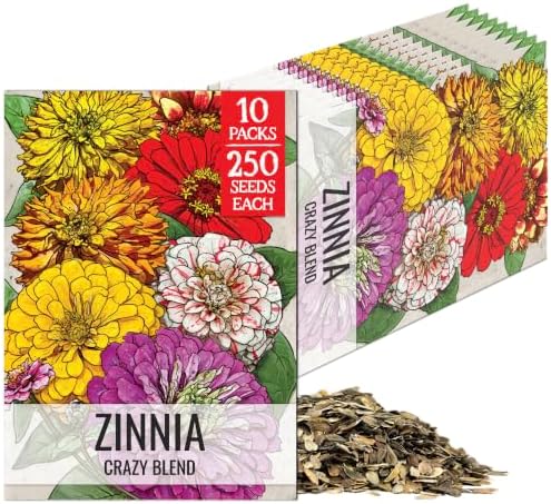 Seed Needs Crazy Zinnia Seeds for Planting Cut Flowers - 10 Packs by SeedNeeds