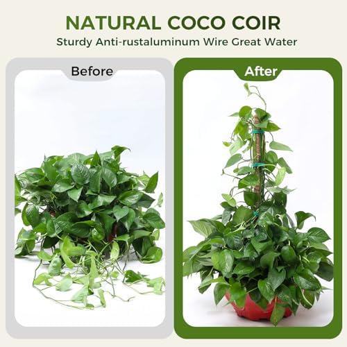 48" Moss Pole Monstera Plant Support, 4 Pack, Bendable Plant Stakes Made of Real Coco Coir Support for Climbing Indoor Plants, Tall Moss Stick Trellis for Potted Climbers - Image 6