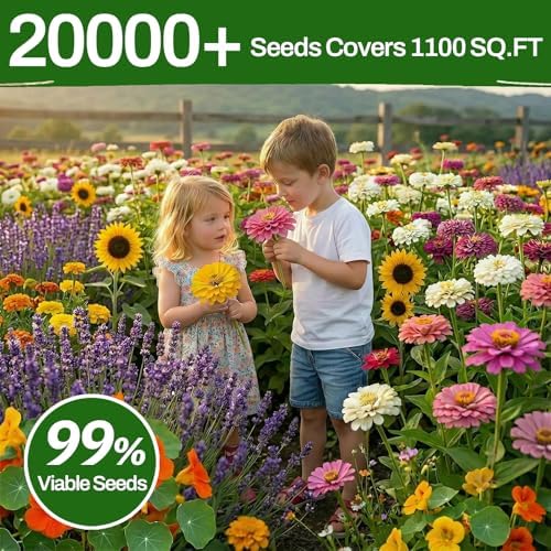 10 Varieties Flower Seeds in Individual Packs, 66,600+ Non-GMO Seeds Indoor Outdoor, Includes Zinnia Lavender Sunflower Marigold Cosmos Nasturtium Snapdragon Borage Yarrow Calendula, Wildflower Seeds - Image 5